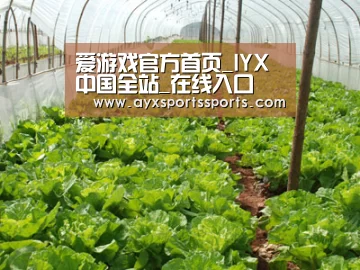 种植基地五