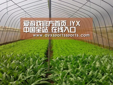 种植基地四