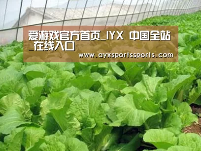种植基地一