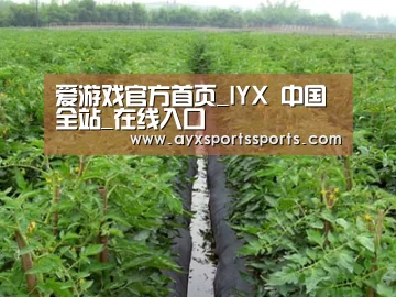 种植基地三
